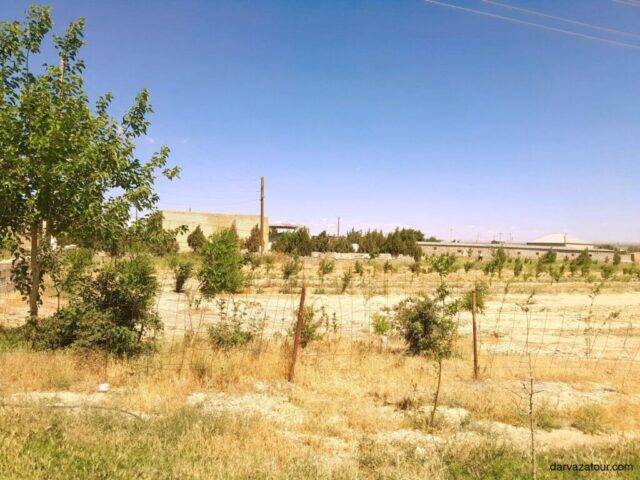 Authentic Turkmenistan rural landscape with green trees, arid terrain and local village buildings in the background, showcasing the natural beauty of Central Asian countryside