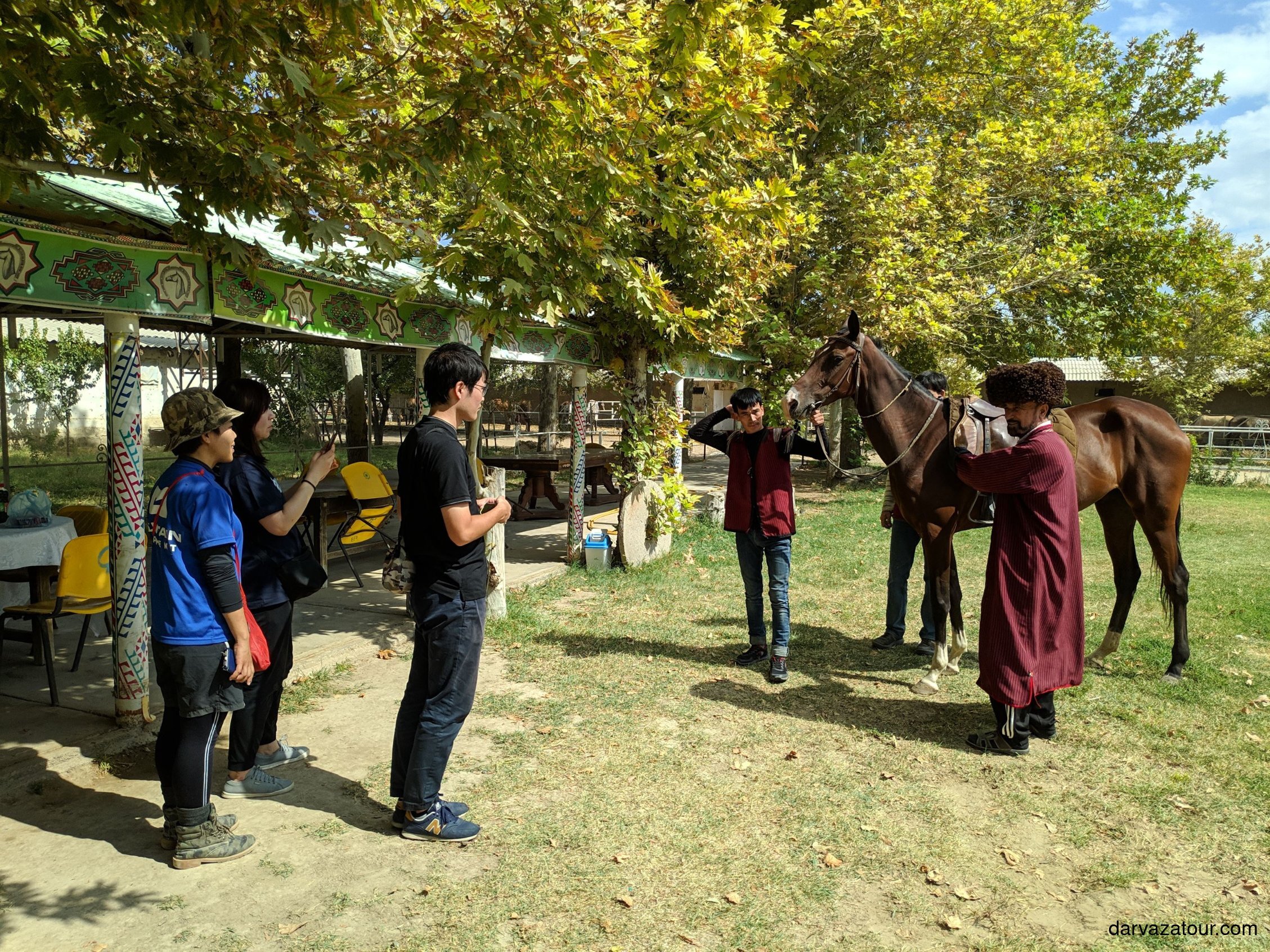 Japanese tourists visiting Akhal-Teke horse farm in Bede, Turkmenistan – local horseman in traditional attire presenting famous Akhal-Teke horse