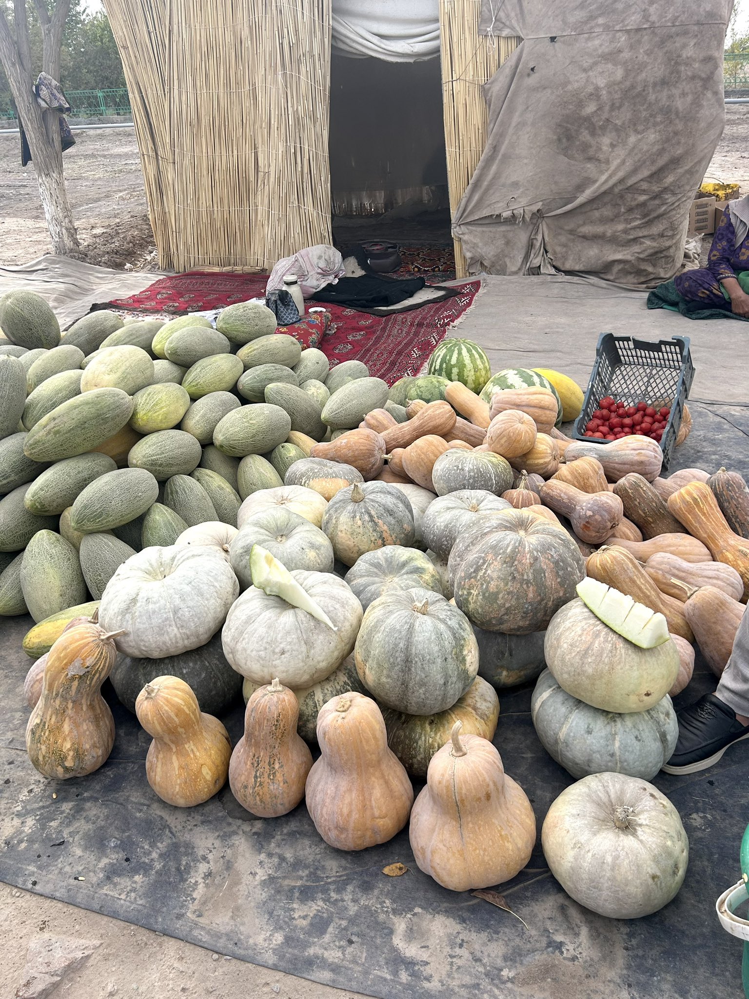 Cheese pide served on a wooden tray in Ashgabat restaurant, enjoyed by tourists.