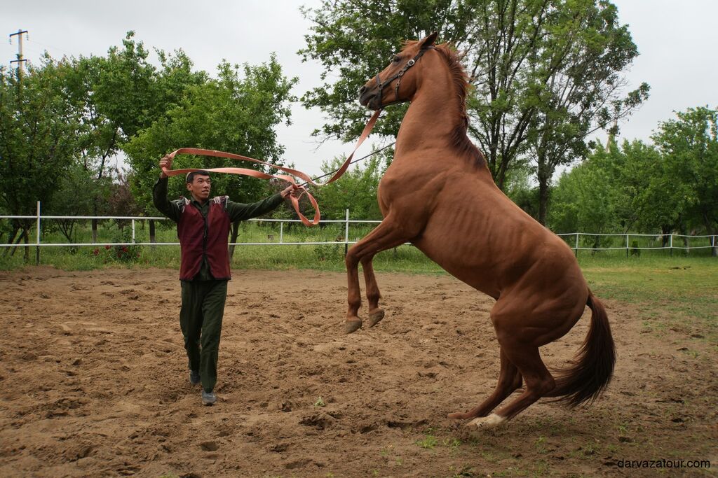 Statue of a warrior with bow and arrows in Ashgabat, Turkmenistan, with white marble buildings in the background.