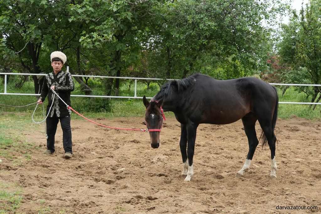 Turkmen horseman in traditional attire with Akhal-Teke horse at a training ground in Turkmenistan
