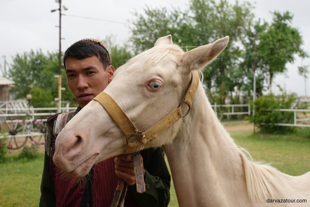 White marble buildings and tree-lined avenue in Ashgabat, Turkmenistan, at sunset.