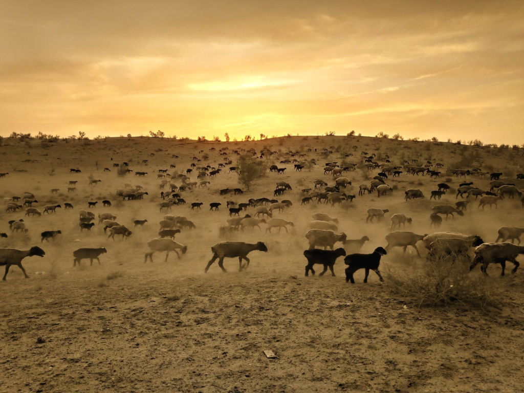 c63ee6a6 fd94 4bc8 99b5 b4a97fc8a829 no watermark seamless 2