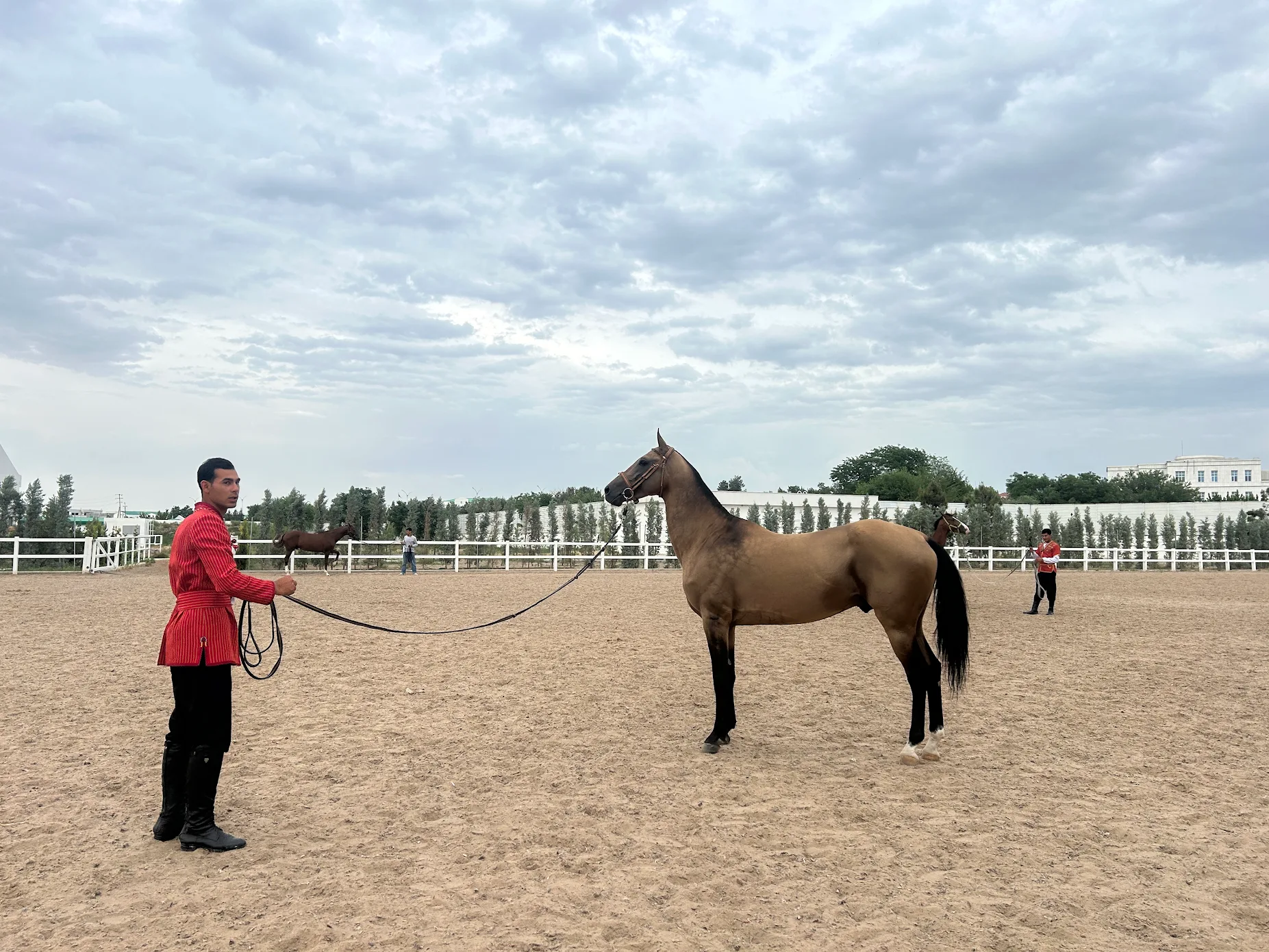 Elegant Akhal-Teke horse standing with a Turkmen horse handler in traditional red clothing at an equestrian center in Ashgabat.