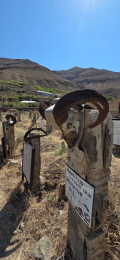 Ram Horn Grave Marker at Nokhur Cemetery